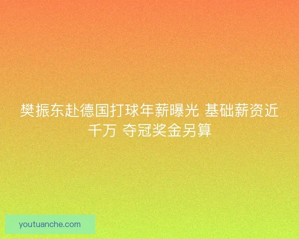 樊振东赴德国打球年薪曝光 基础薪资近千万 夺冠奖金另算